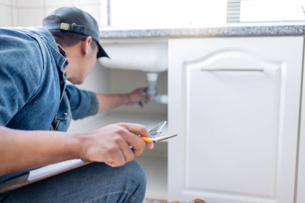 Best Local Plumber Services  in Bull Valley, IL