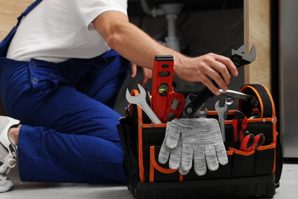 Best Plumbing Services Near Me  in Bull Valley, IL